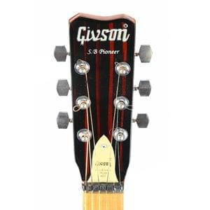 1563450502955-40.S.B PIONEER (CUT-A-WAY,BEECH WOOD WITH PICK-UP) (3).jpg